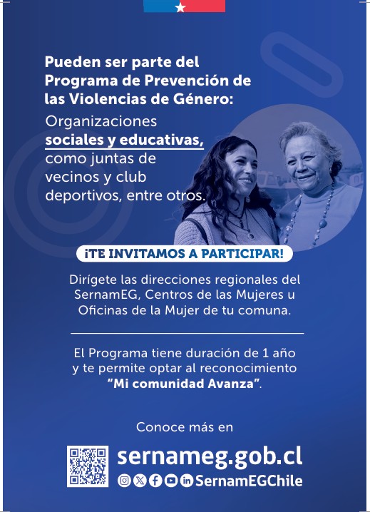 Afiche del Programa de Prevención de las Violencias de Género: cómo funciona el acompañamiento a organizaciones